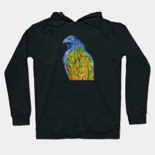 Nicobar Pigeon Hoodie